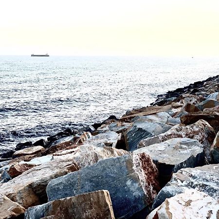 El Molino Lejlighed Torrevieja Eksteriør billede
