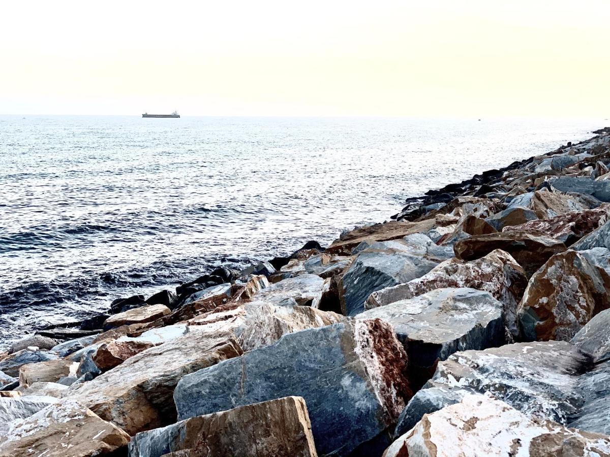 El Molino Lejlighed Torrevieja Eksteriør billede